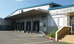 愛媛工場